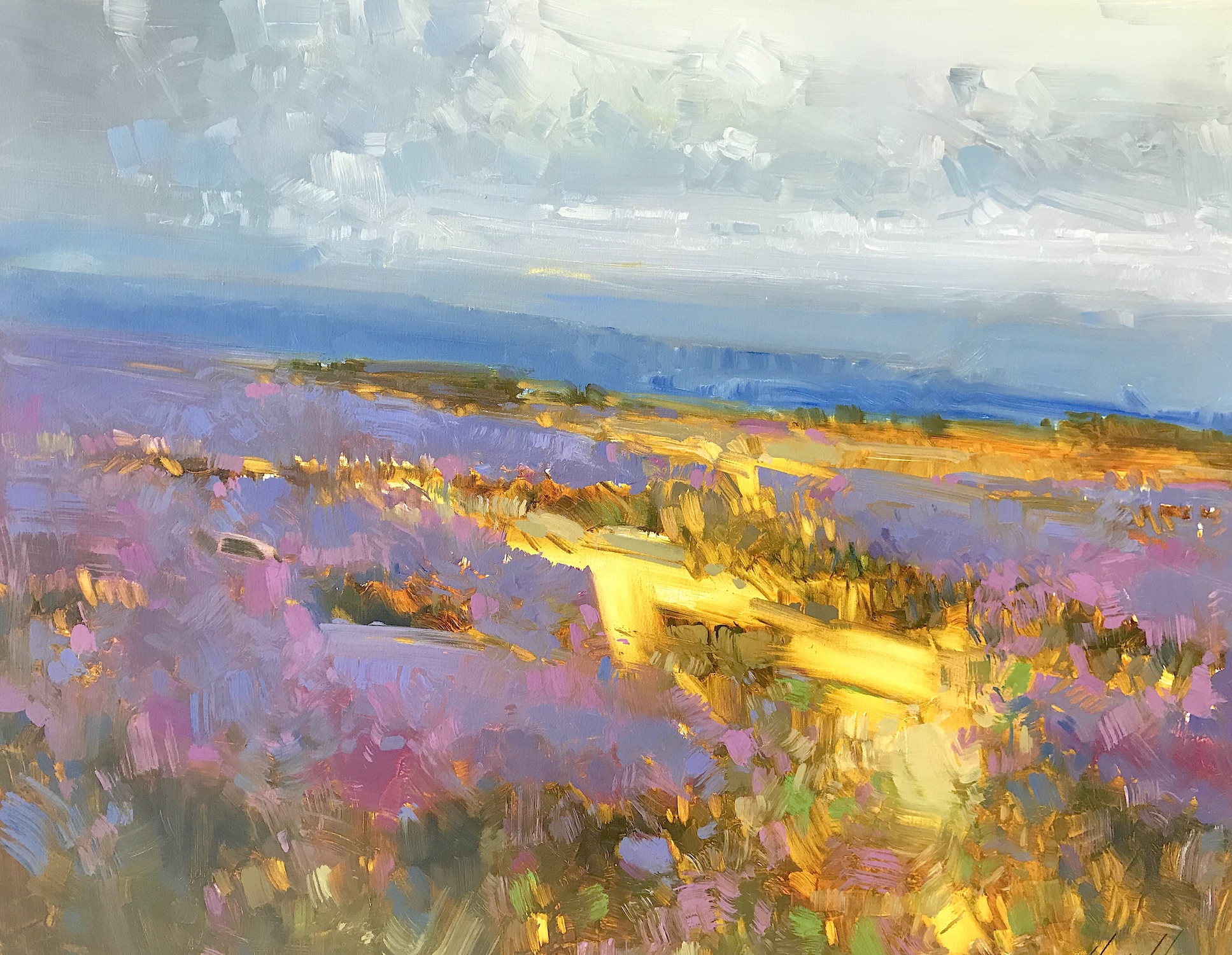 Field of Lavenders - Vahe Yeremyan’s Personal Gallery