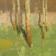 Birches Trees