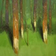 Forest Trees